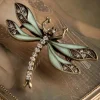 Hoe U Uw Dragonfly-Broche Kunt Trainen-Lovely Online