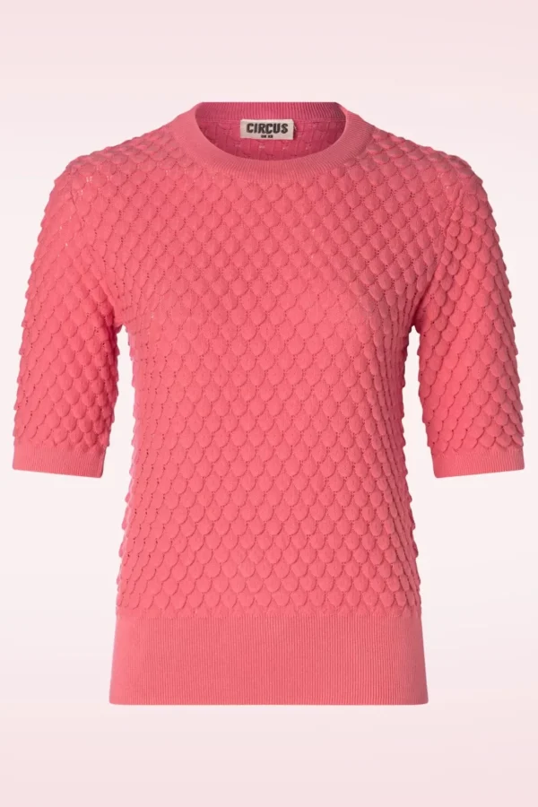 Xanthe Sweater In Roze-Circus Sale